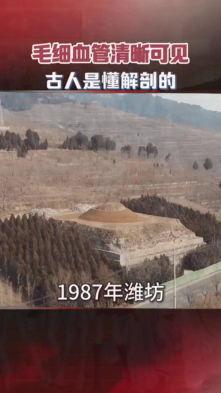 800年前的青铜肾脏长啥样?毛细血管清晰可见,古人是懂解剖的