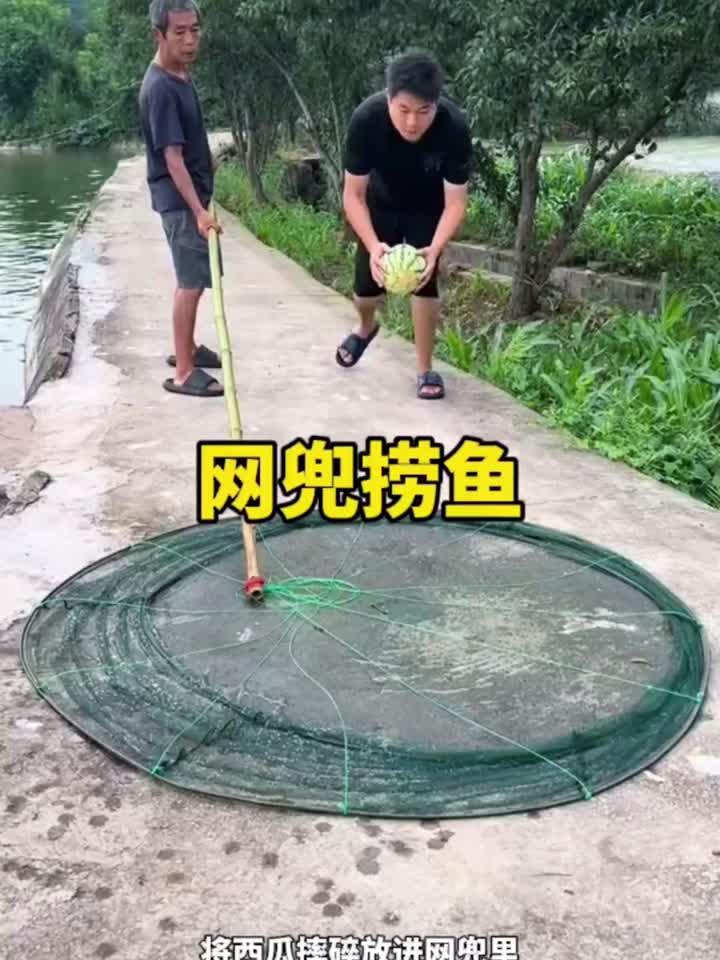 自制网兜放入西瓜捞鱼