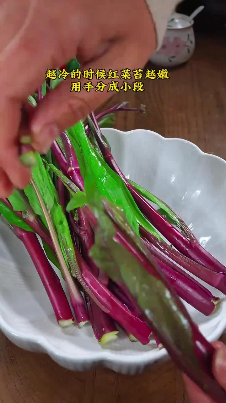 天气越冷红菜苔越嫩，配上一点五花肉一起炒，简单又下饭！