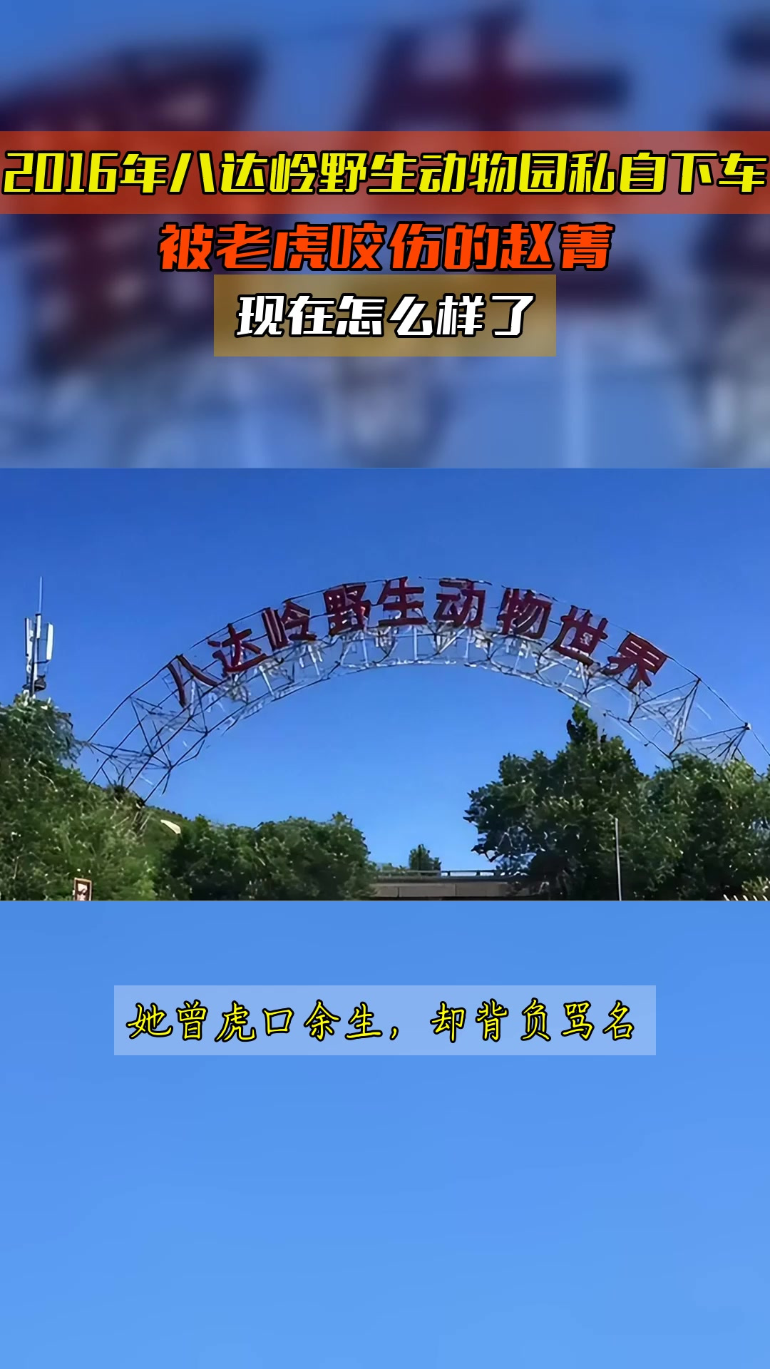 2016年八达岭野生动物园私自下车,被老虎咬伤的赵菁,现在怎