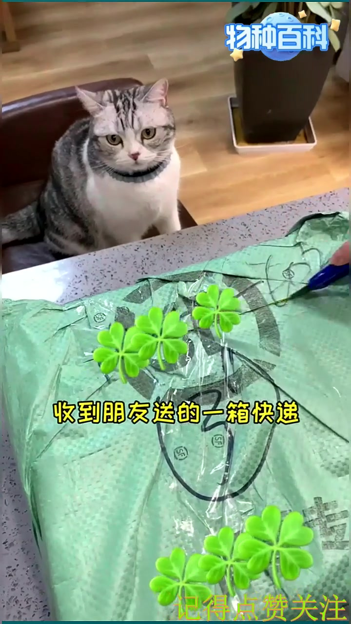 泡芙第一次见螃蟹 我好像做错了……