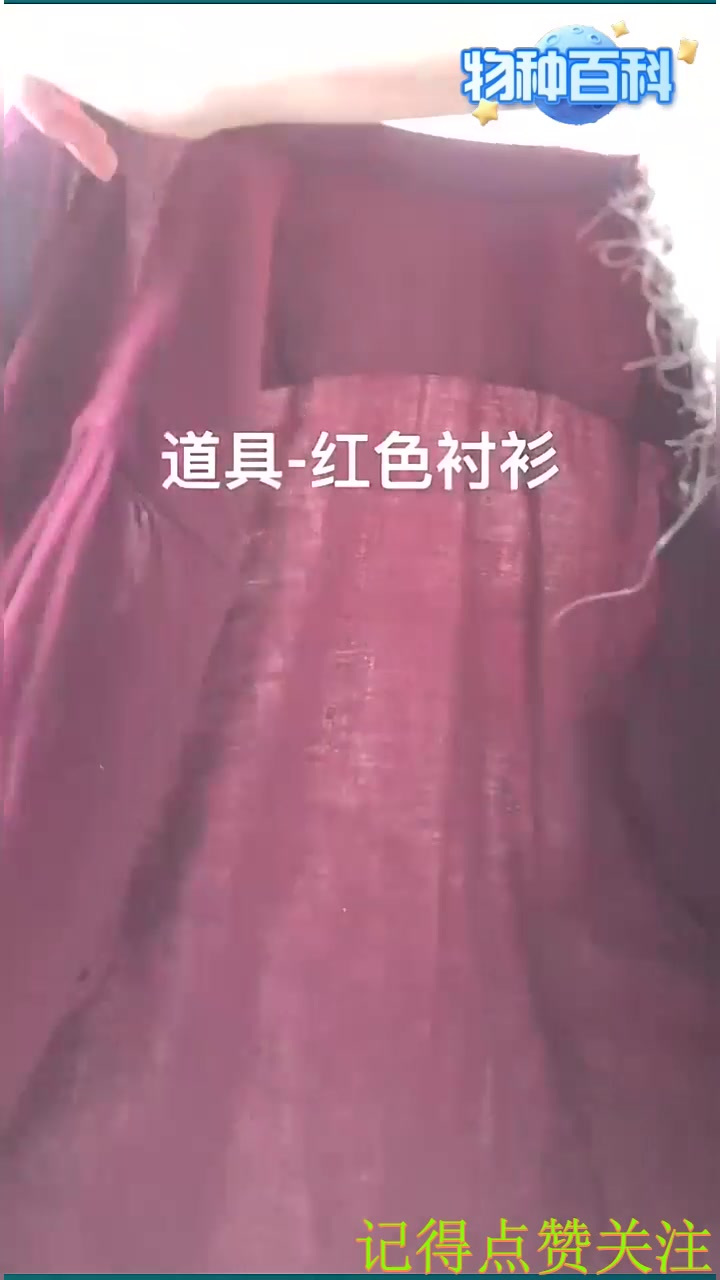 泡芙这个月过生日 给她拍一组生日写真 我们一岁啦
