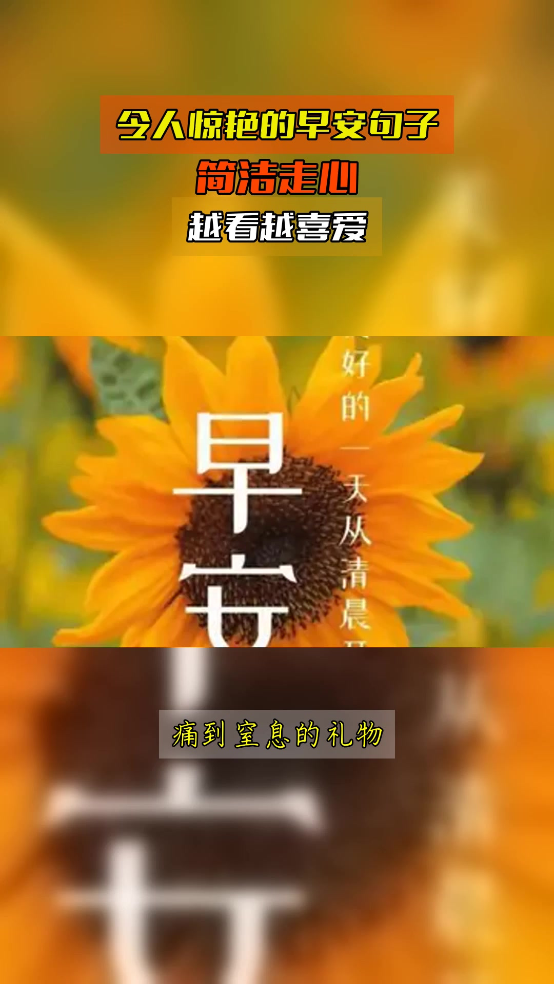 令人惊艳的早安句子,简洁走心,越看越喜爱