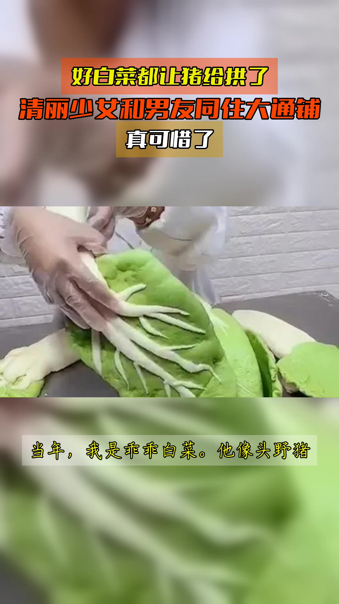 好白菜都让猪给拱了，清丽少女和男友同住大通铺，真可惜了