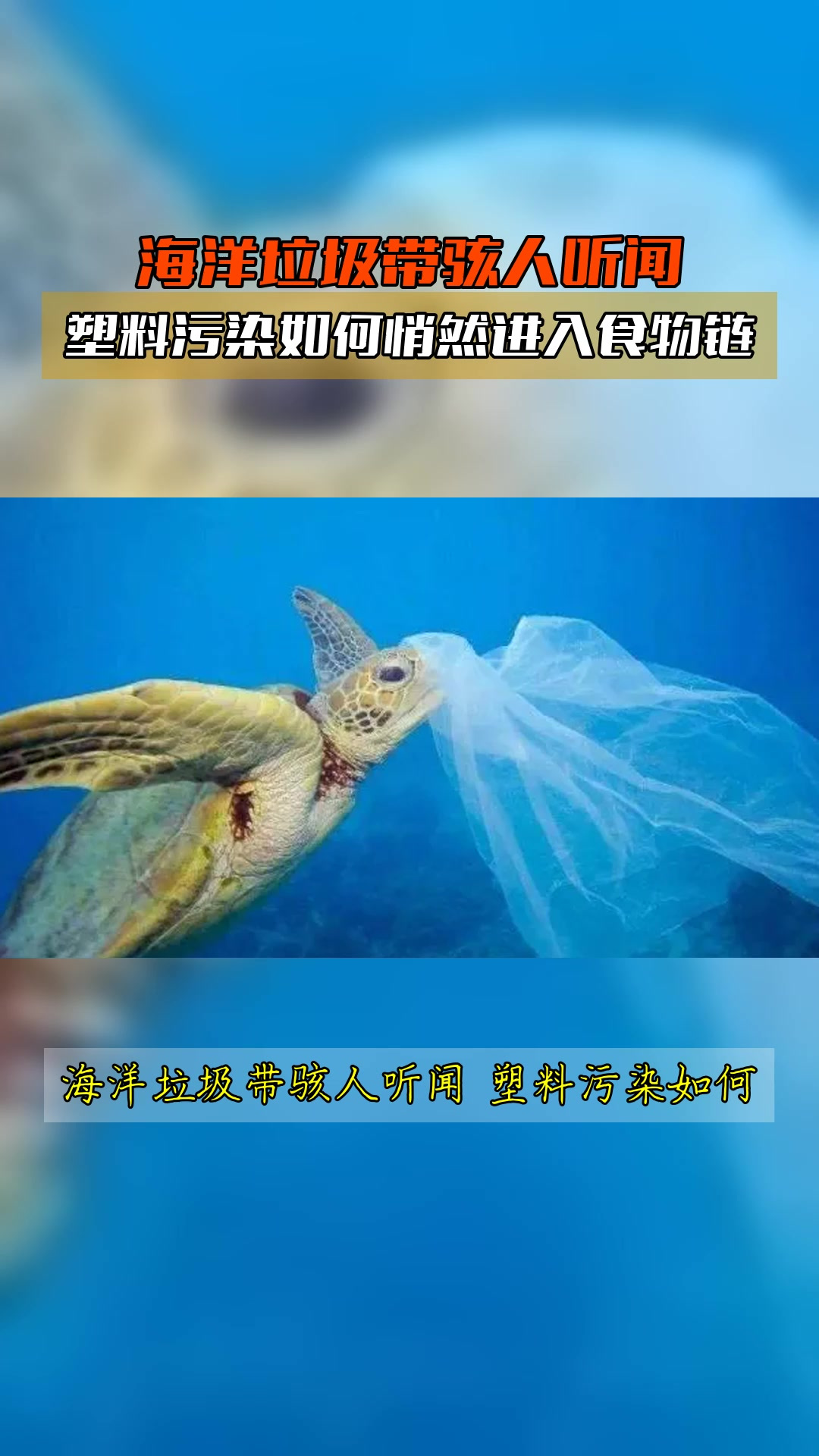 海洋垃圾带骇人听闻,塑料污染如何悄然进入食物链