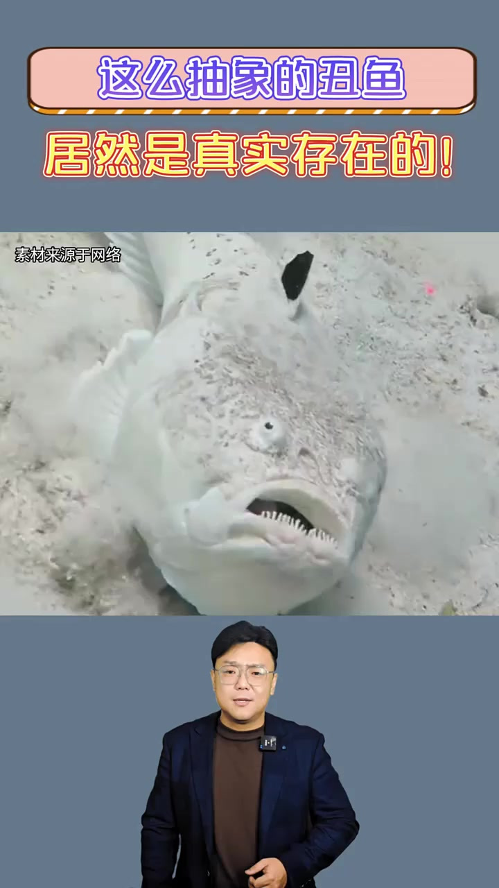 这么抽象的丑鱼,居然是真实存在的!还会2门“独家秘技”