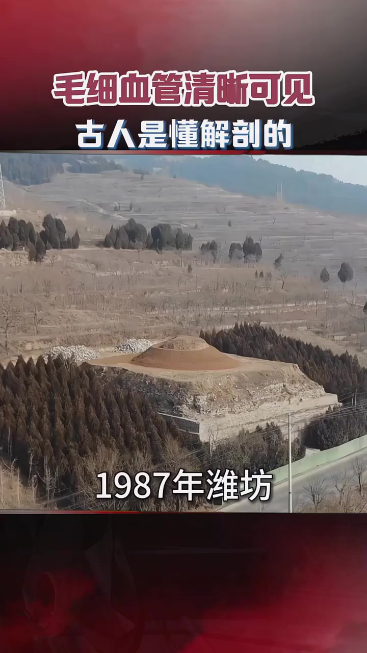 800年前的青铜肾脏长啥样?毛细血管清晰可见,古人是懂解剖的