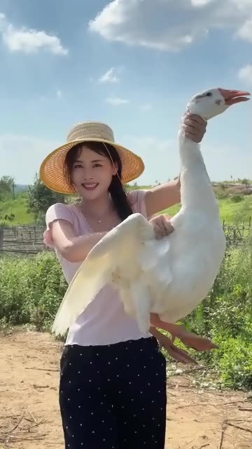 河南美食千千万，信阳鹅块不一般