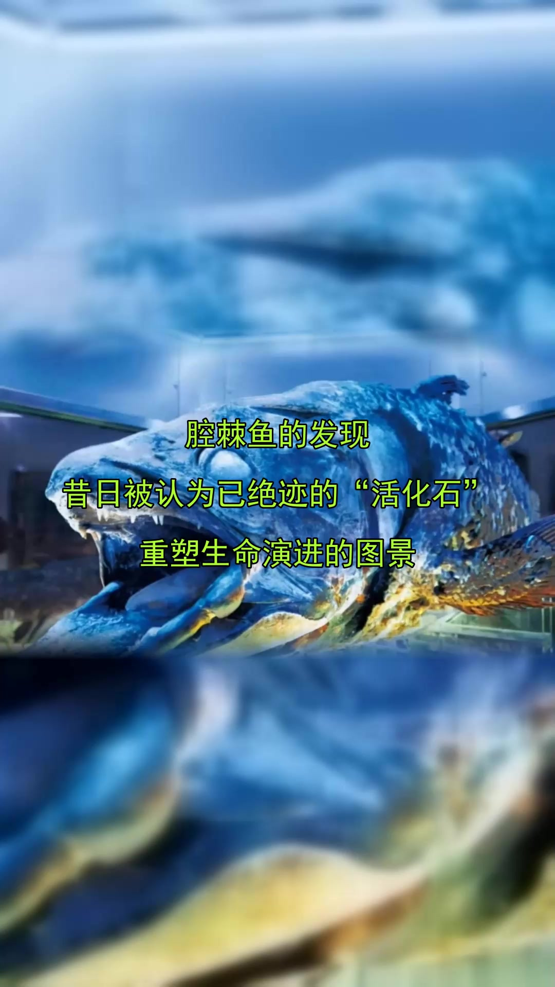 腔棘鱼的发现，昔日被认为已绝迹的“活化石”，重塑生命演进的图