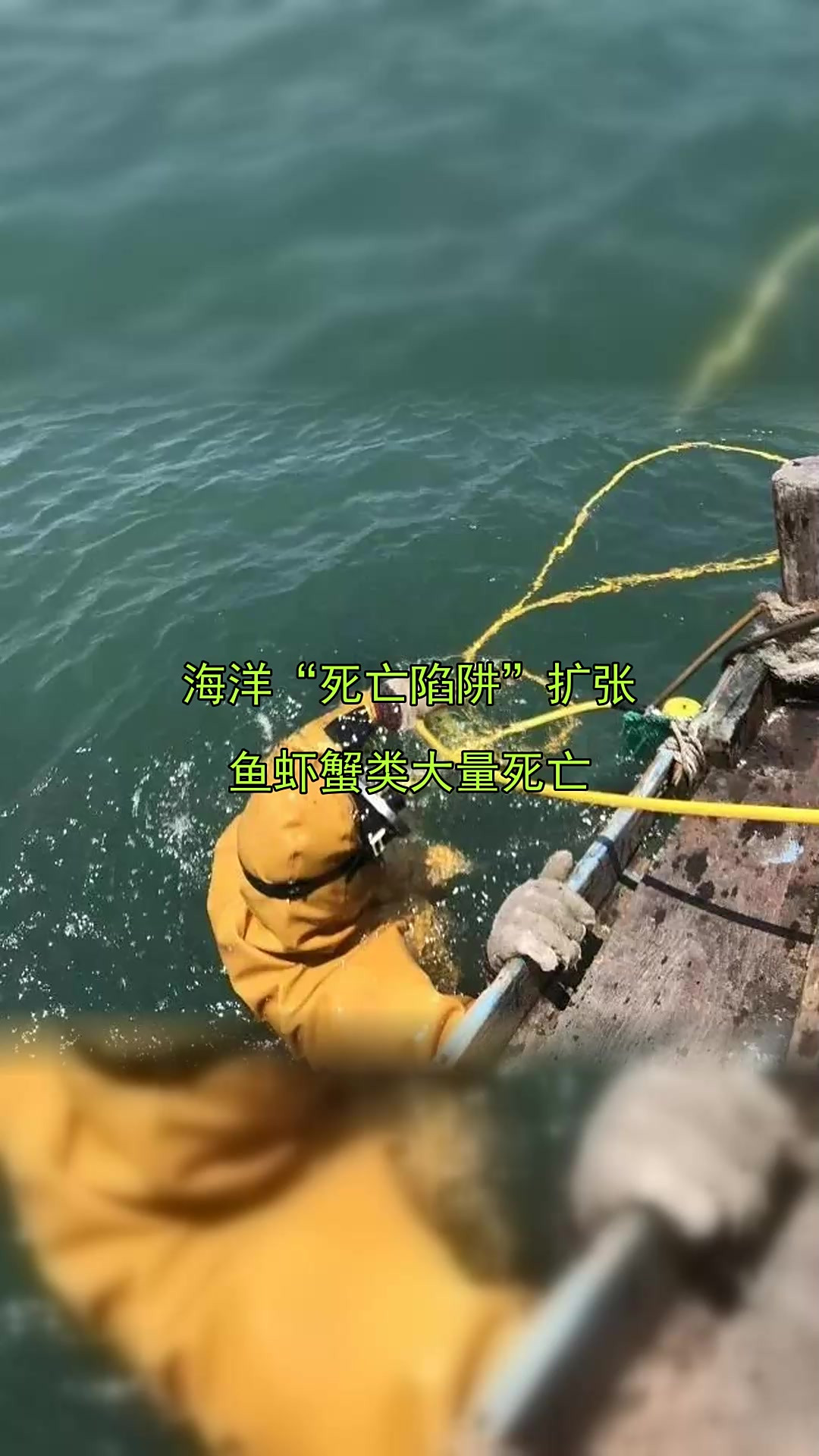 海洋“死亡陷阱”扩张，鱼虾蟹类大量死亡
