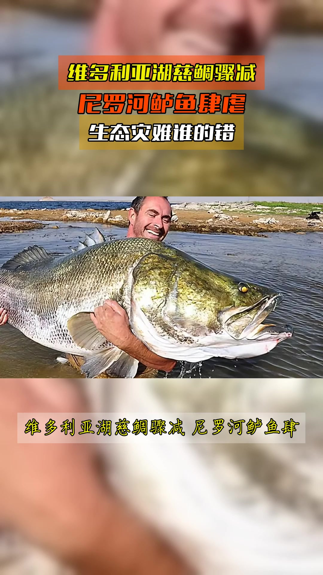 维多利亚湖慈鲷骤减,尼罗河鲈鱼肆虐,生态灾难谁的错