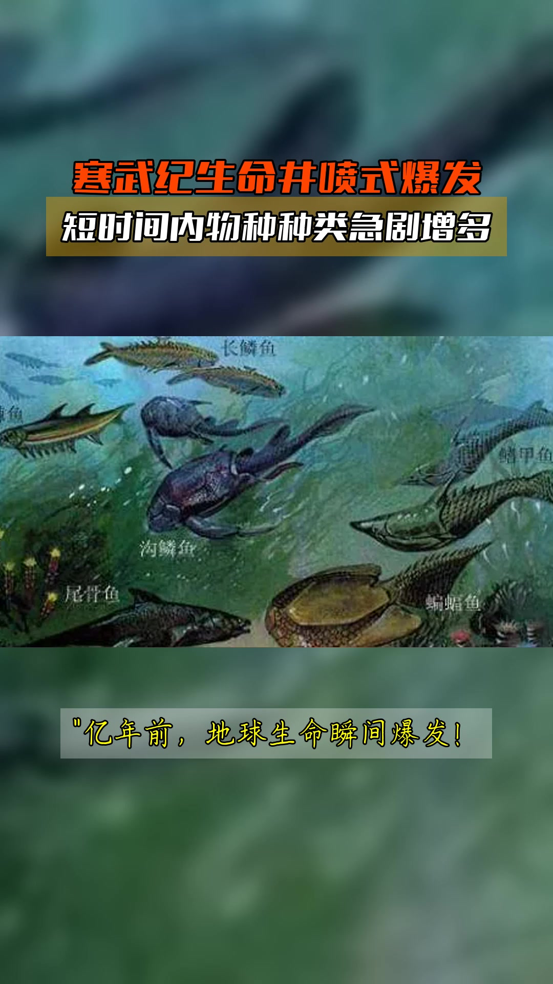 寒武纪生命井喷式爆发,短时间内物种种类急剧增多