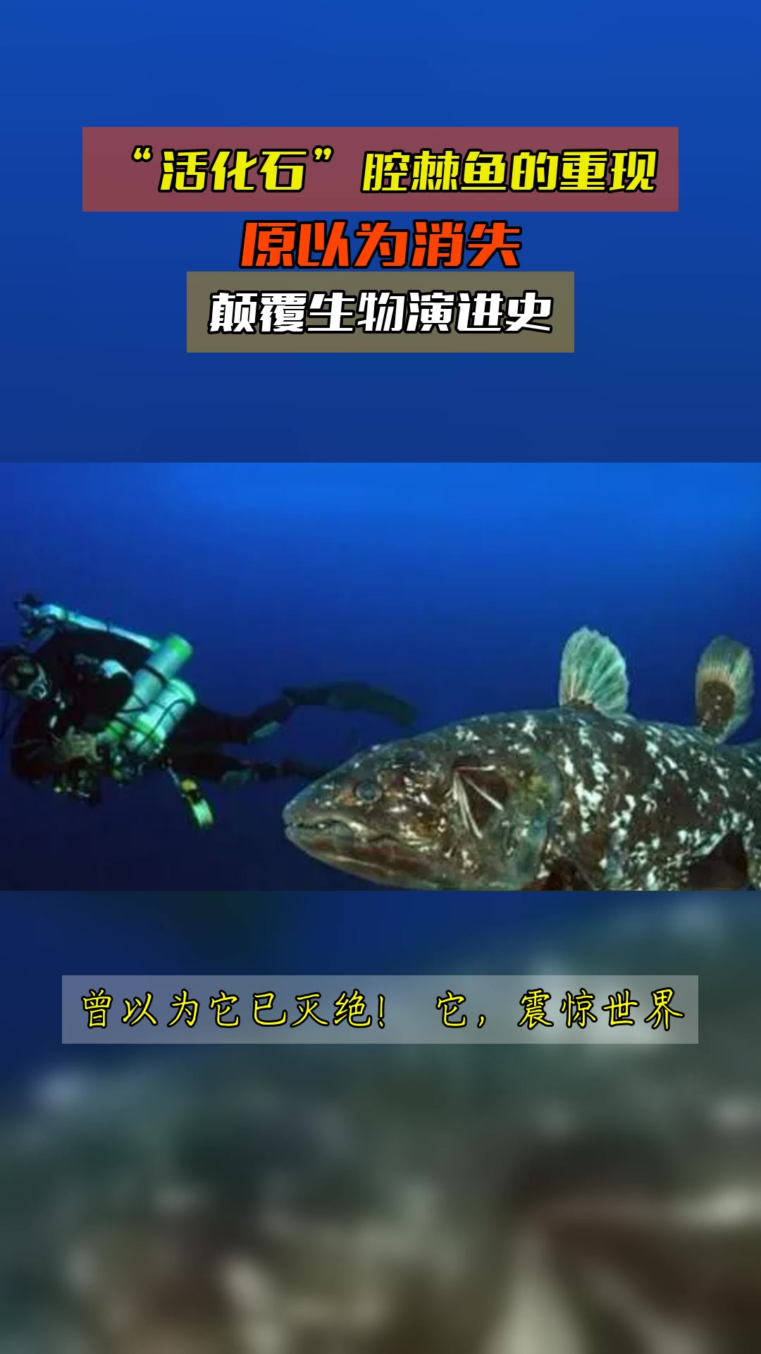 “活化石”腔棘鱼的重现,原以为消失,颠覆生物演进史