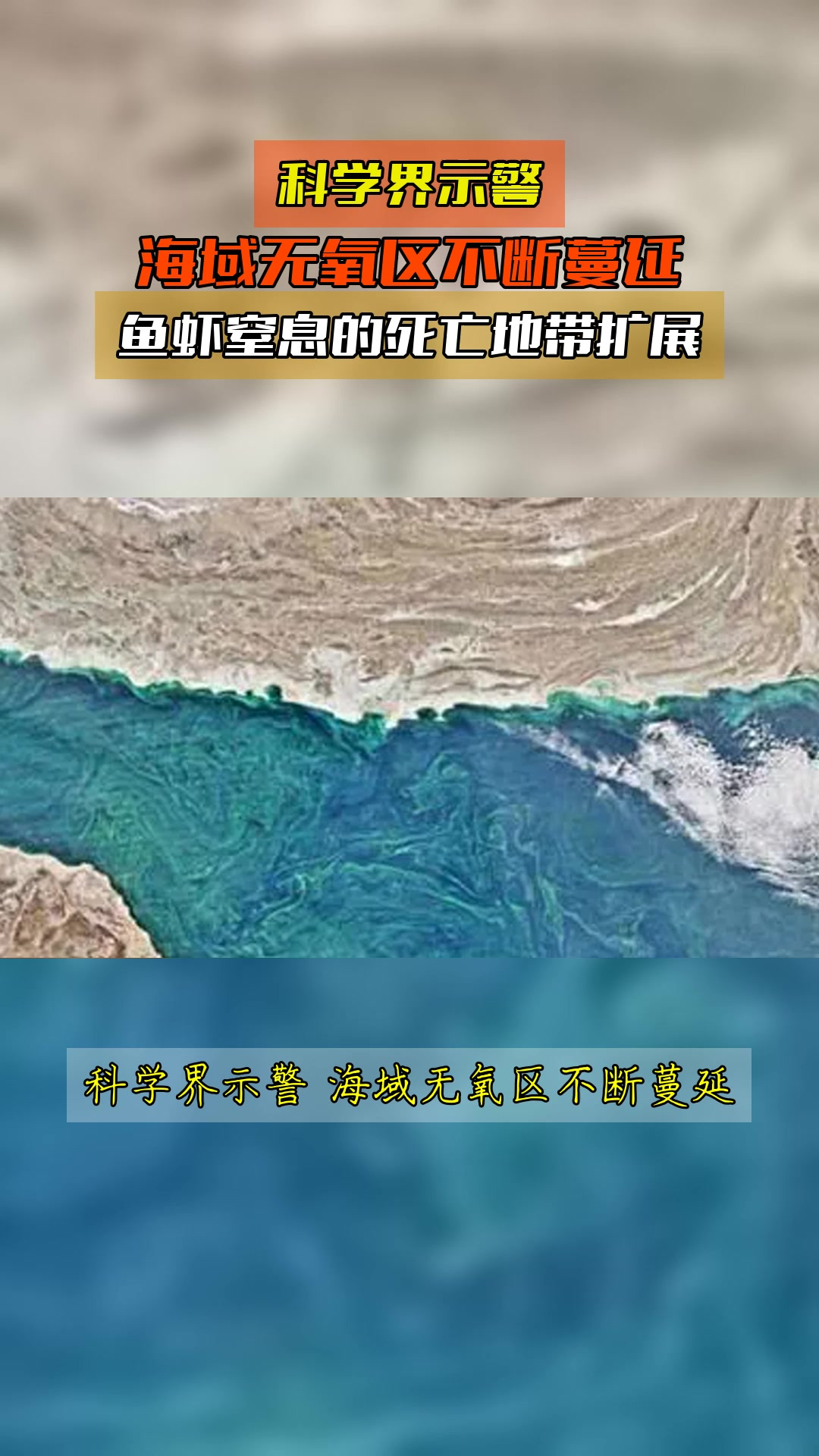 科学界示警,海域无氧区不断蔓延,鱼虾窒息的死亡地带扩展