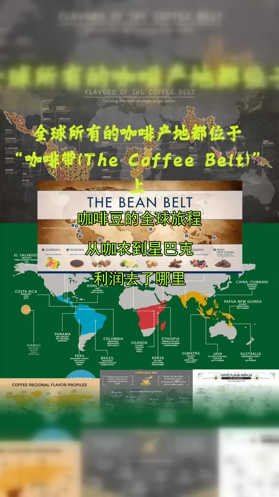 咖啡豆的全球旅程,从咖农到星巴克,利润去了哪里