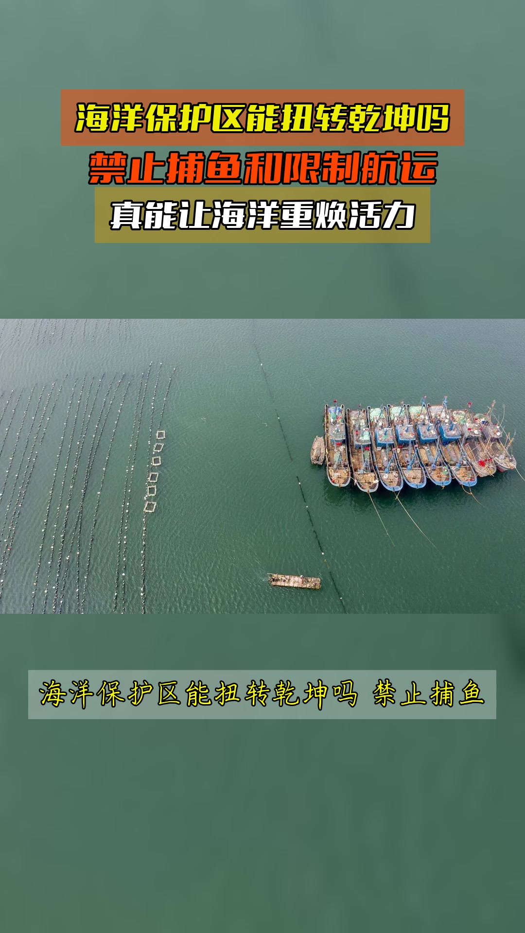 海洋保护区能扭转乾坤吗,禁止捕鱼和限制航运,真能让海洋重焕活