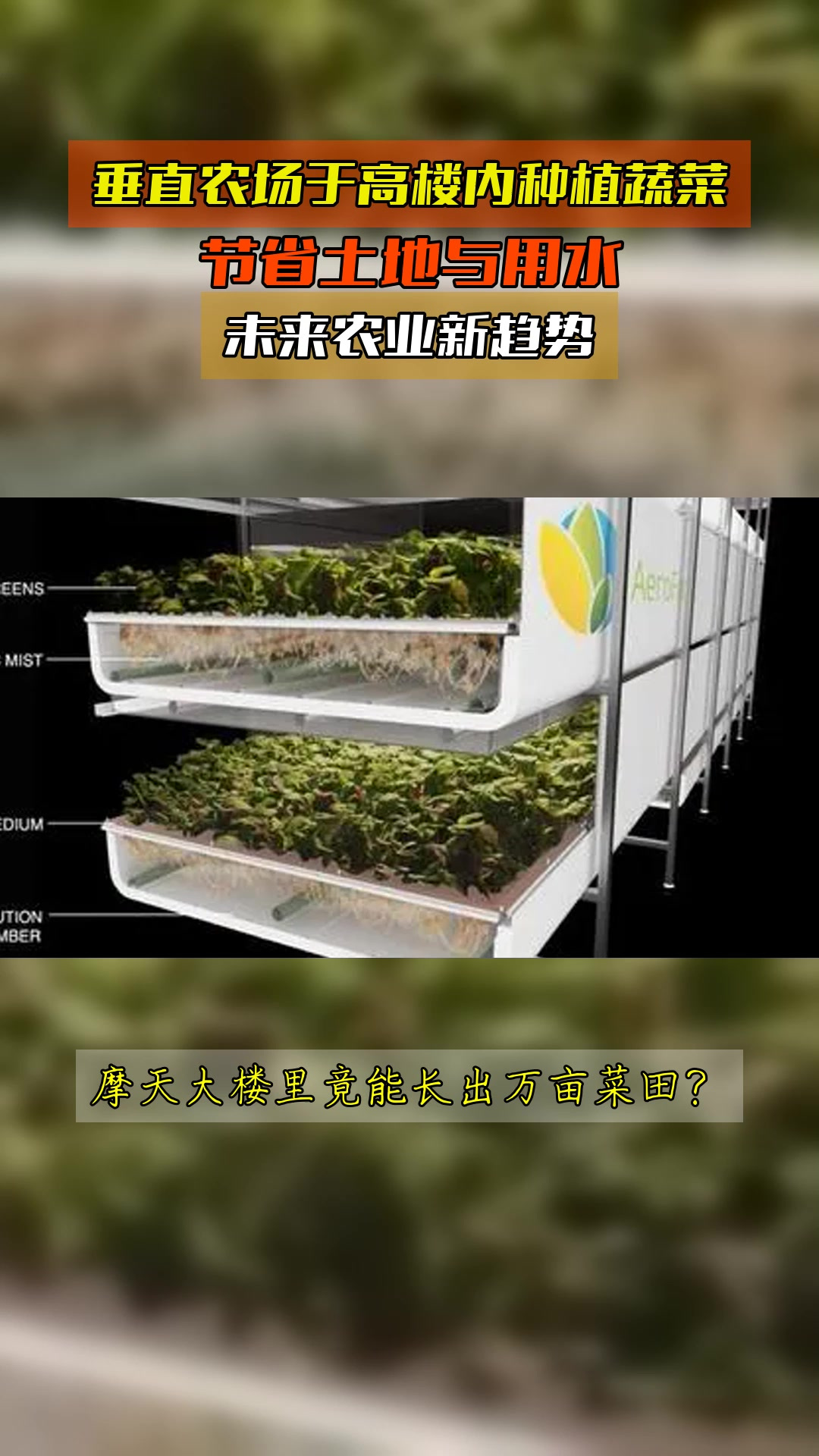 垂直农场于高楼内种植蔬菜,节省土地与用水,未来农业新趋势