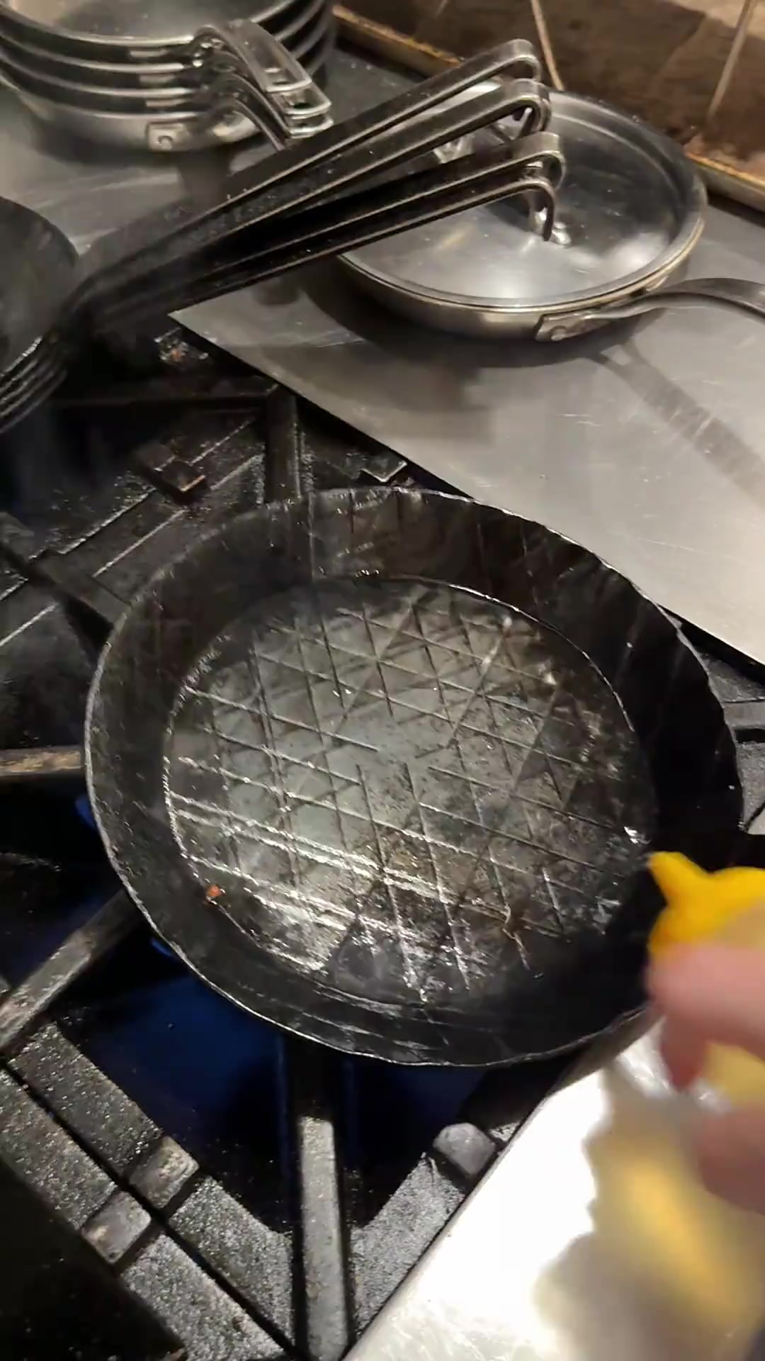 这期视频教大家如何煎鹿肉！那么可爱的小鹿也很可口！使用了对的