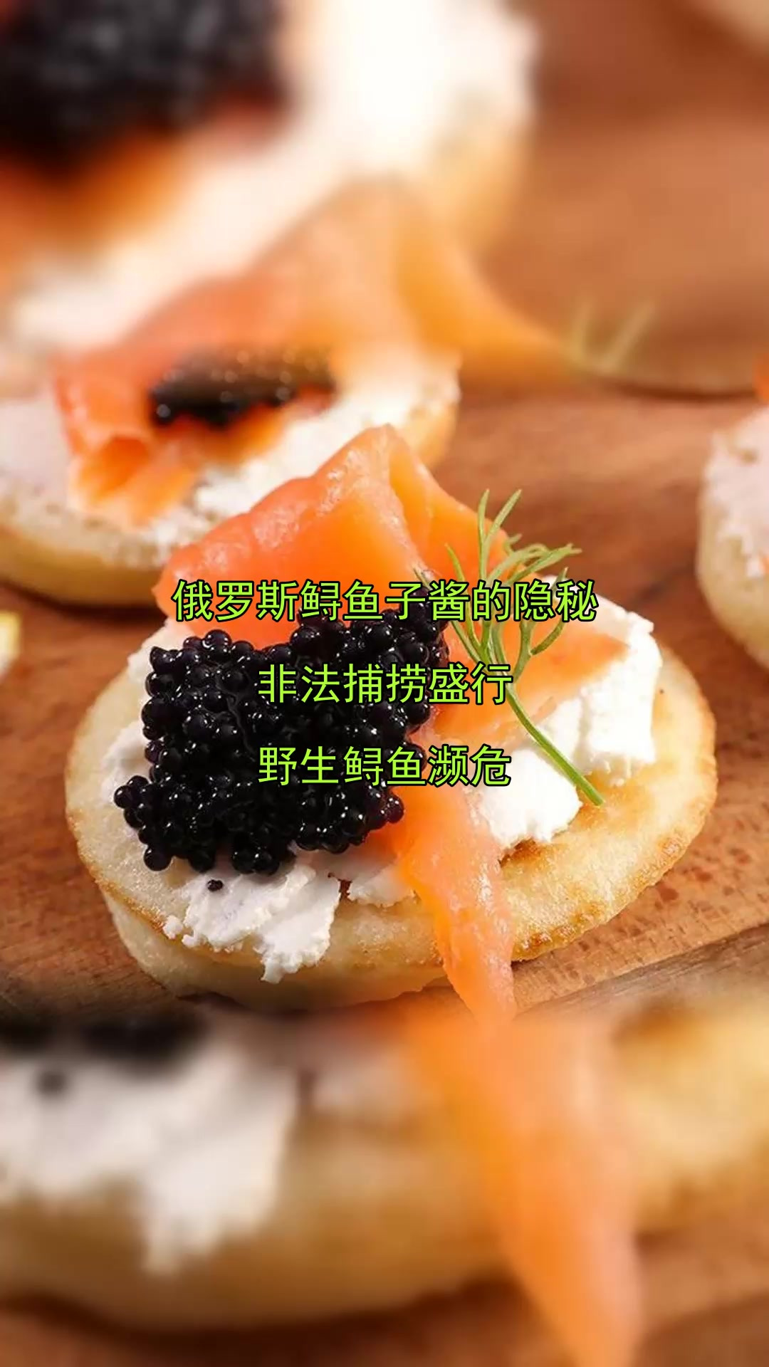 俄罗斯鲟鱼子酱的隐秘，非法捕捞盛行，野生鲟鱼濒危