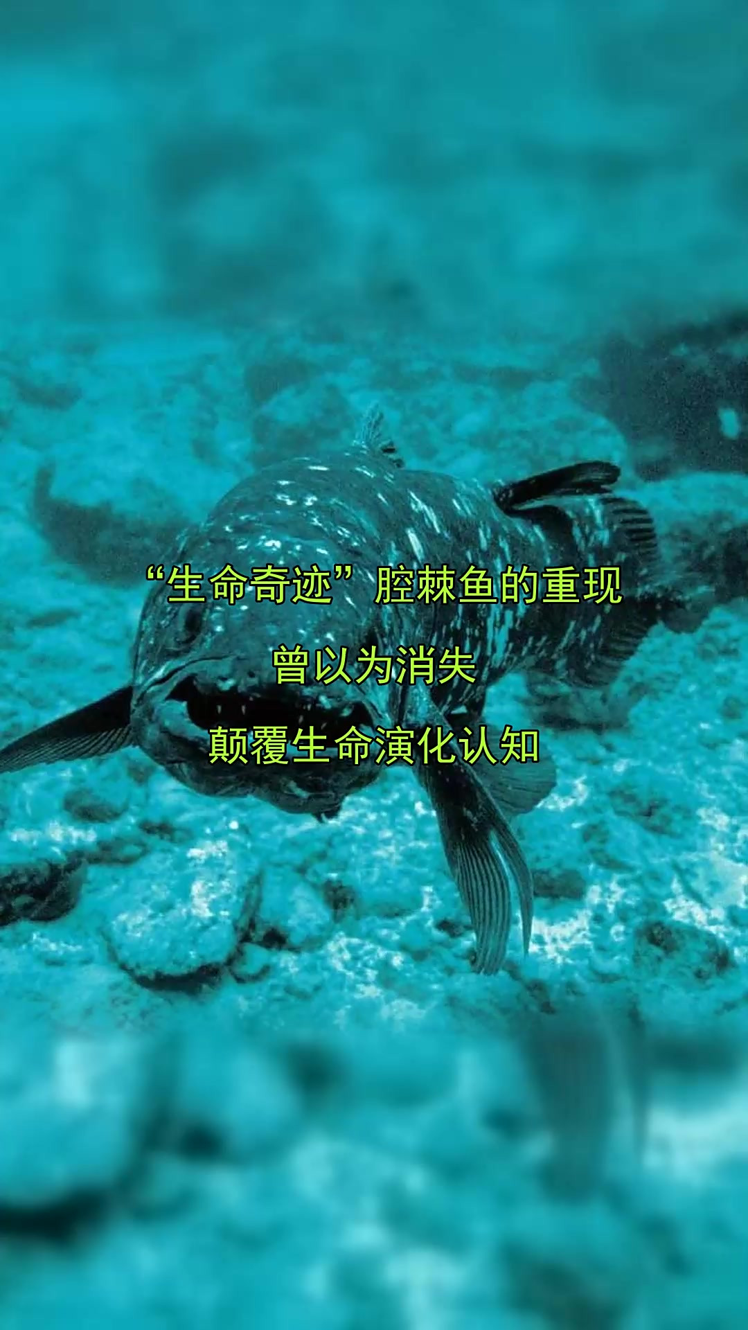 “生命奇迹”腔棘鱼的重现，曾以为消失，颠覆生命演化认知