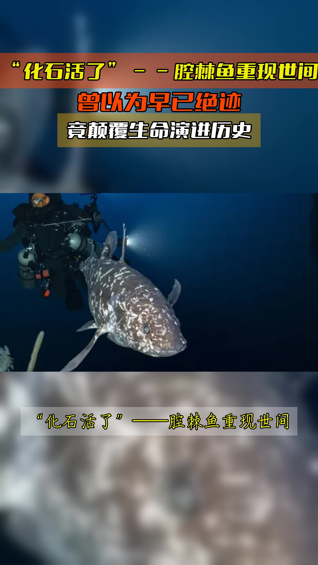 “化石活了”——腔棘鱼重现世间，曾以为早已绝迹，竟颠覆生命演