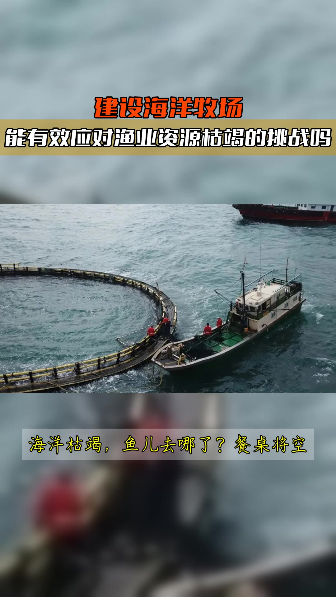 建设海洋牧场,能有效应对渔业资源枯竭的挑战吗