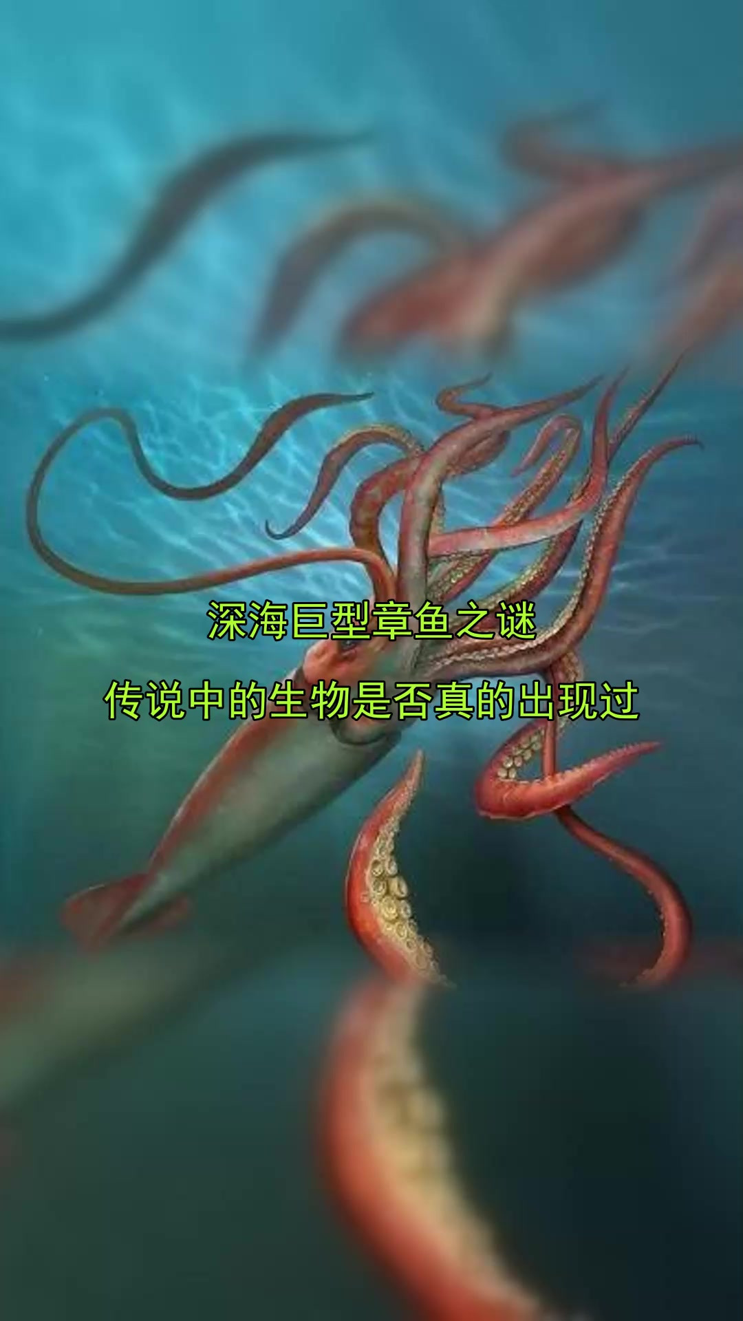 深海巨型章鱼之谜,传说中的生物是否真的出现过