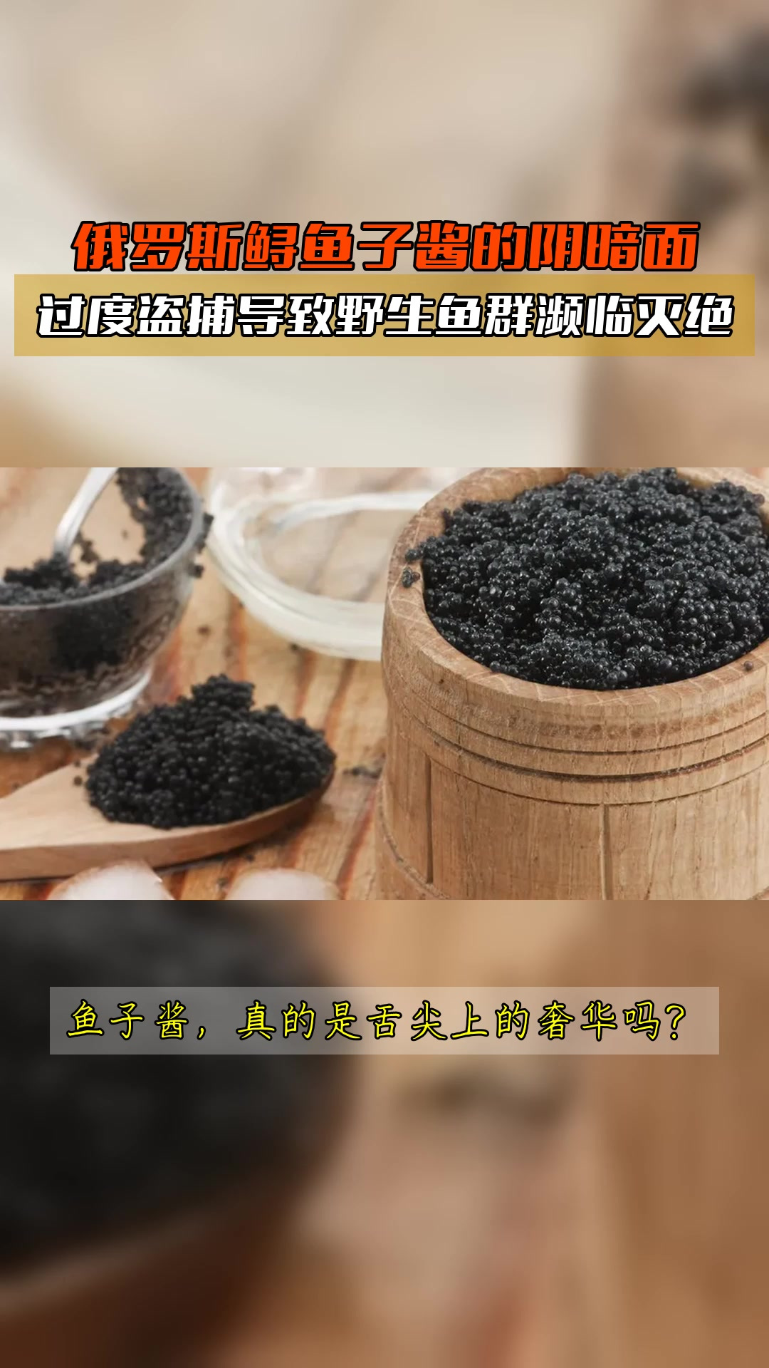 俄罗斯鲟鱼子酱的阴暗面,过度盗捕导致野生鱼群濒临灭绝