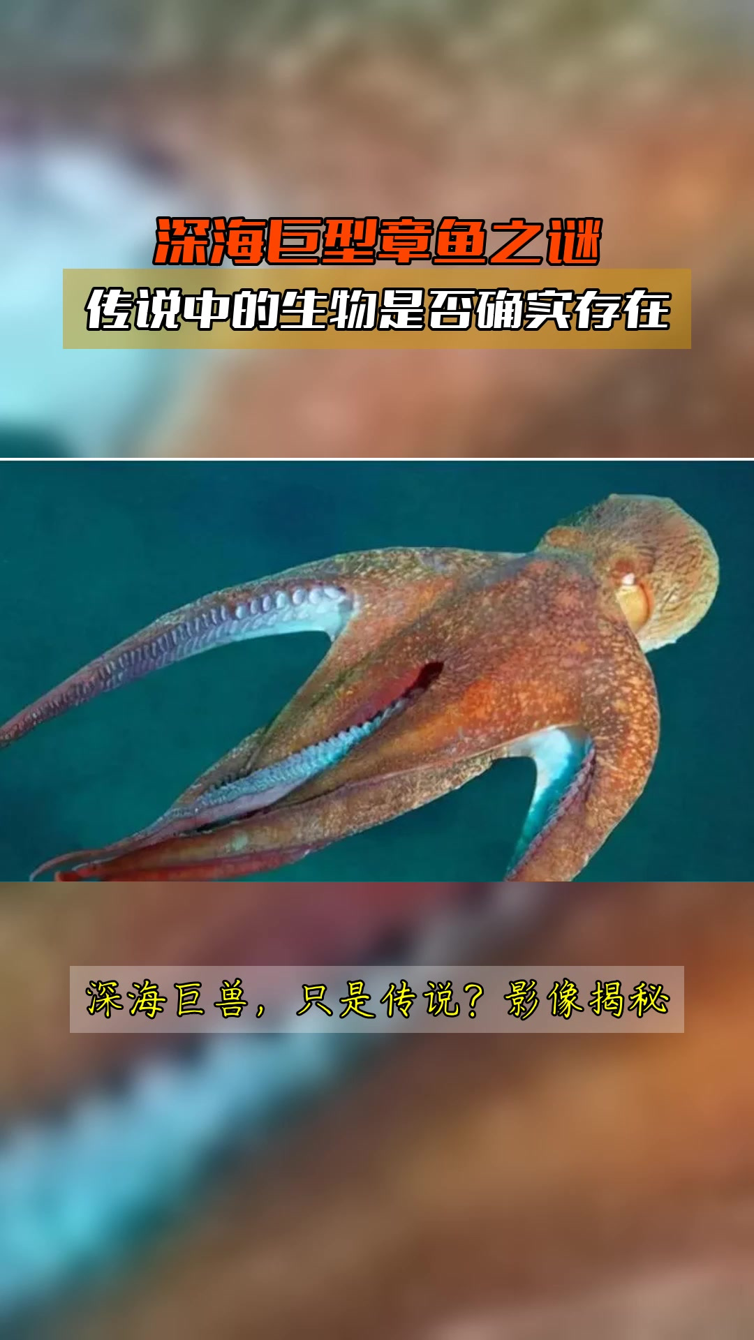 深海巨型章鱼之谜,传说中的生物是否确实存在