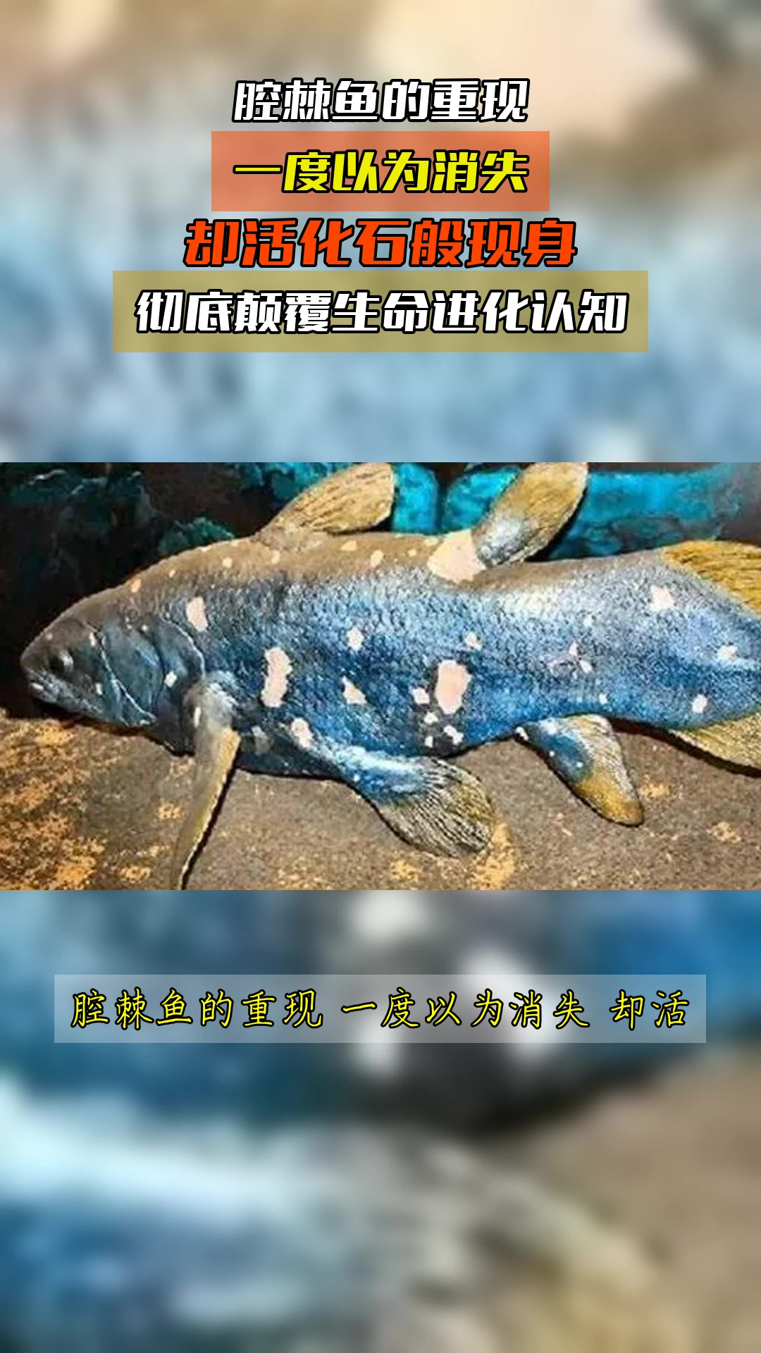 腔棘鱼的重现,一度以为消失,却活化石般现身,彻底颠覆生命进化