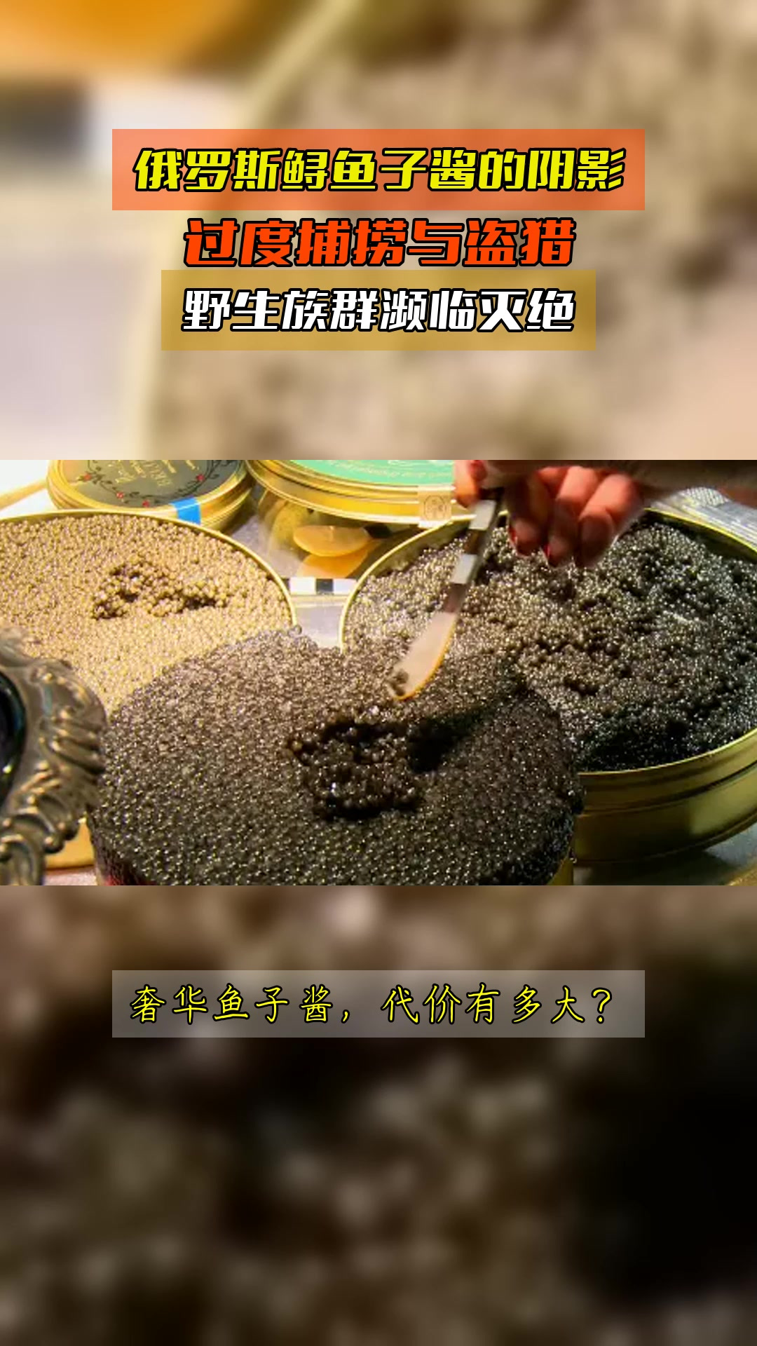 俄罗斯鲟鱼子酱的阴影,过度捕捞与盗猎,野生族群濒临灭绝