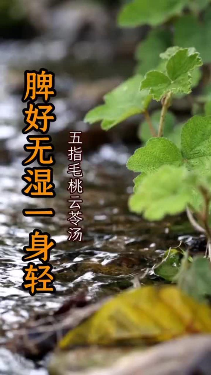 产妇催乳汤：奶量足，宝宝吃得香