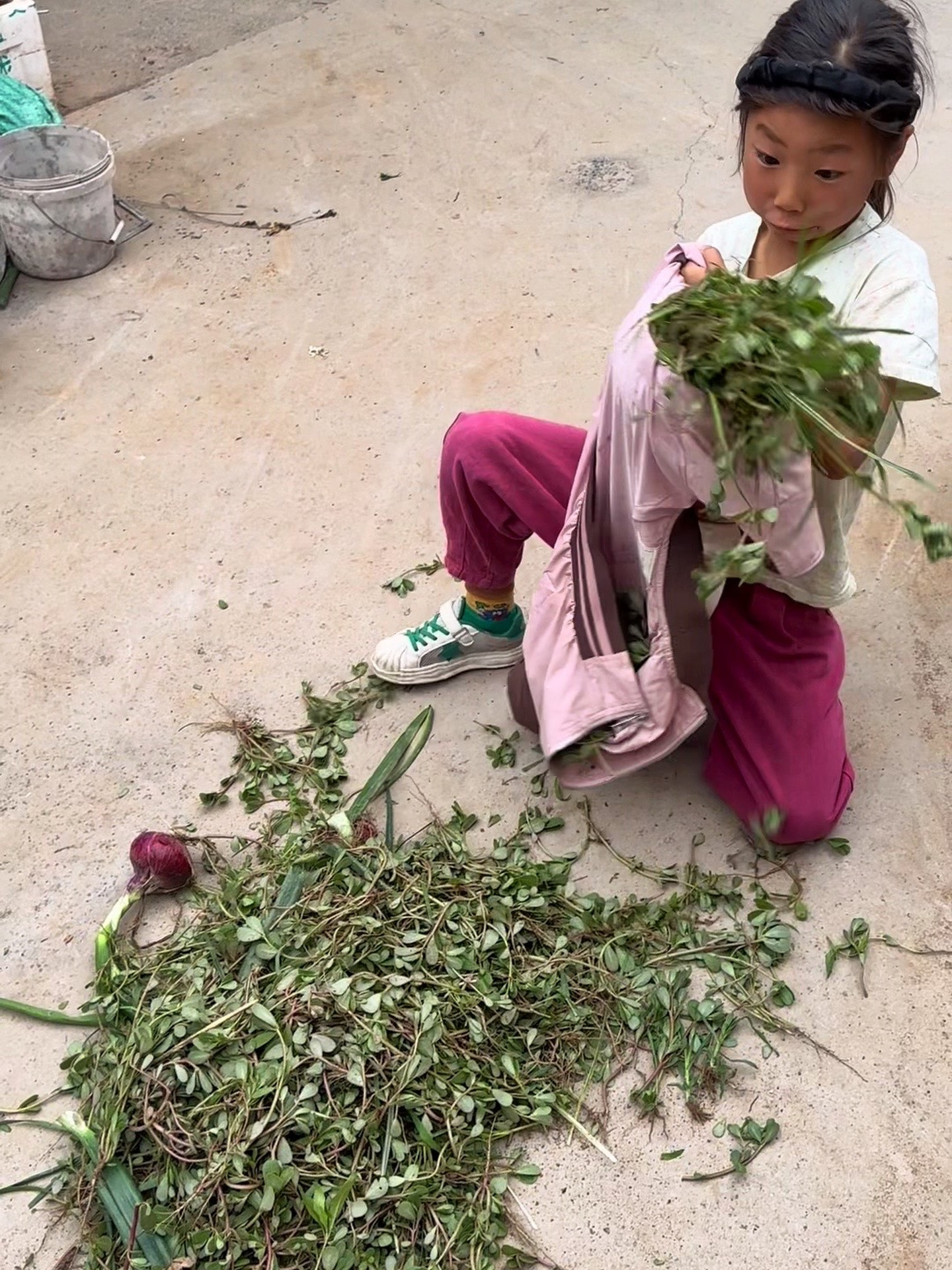 小小的年纪,咋这么喜欢挖野菜?我是看见就头疼,吃的够够的……