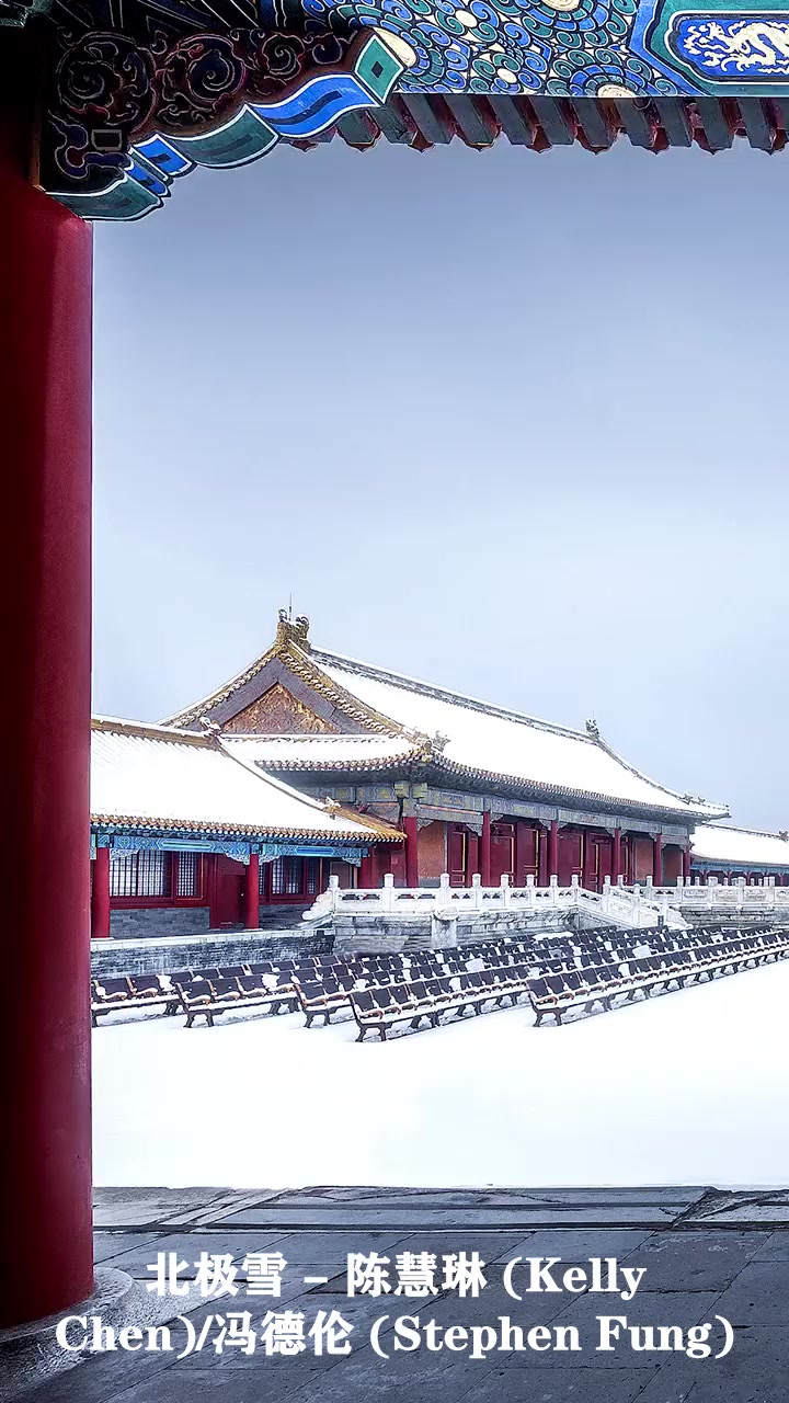 听完陈慧琳的《北极雪》,原来,感动如此简单