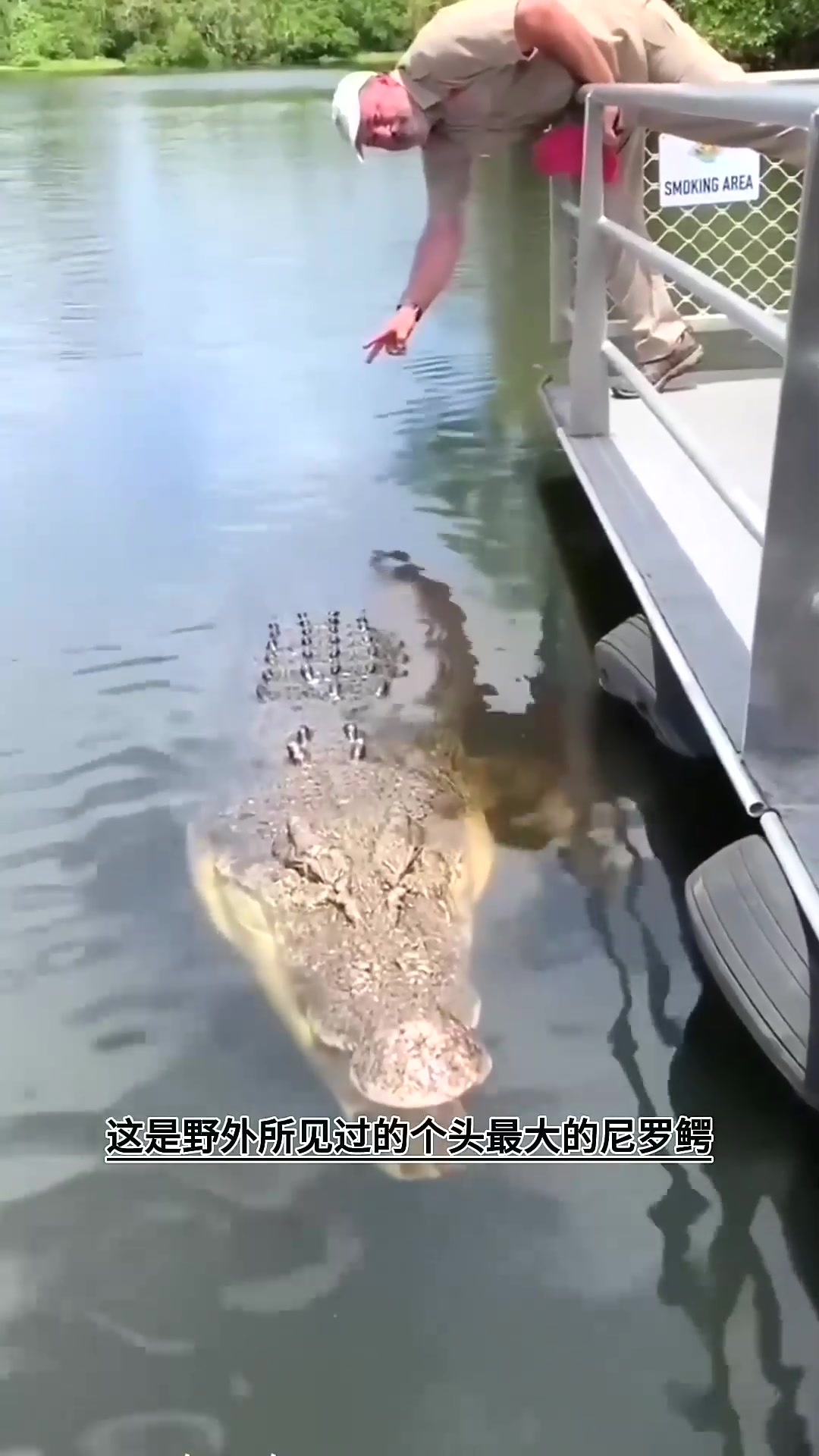  食人鳄鱼古斯塔夫