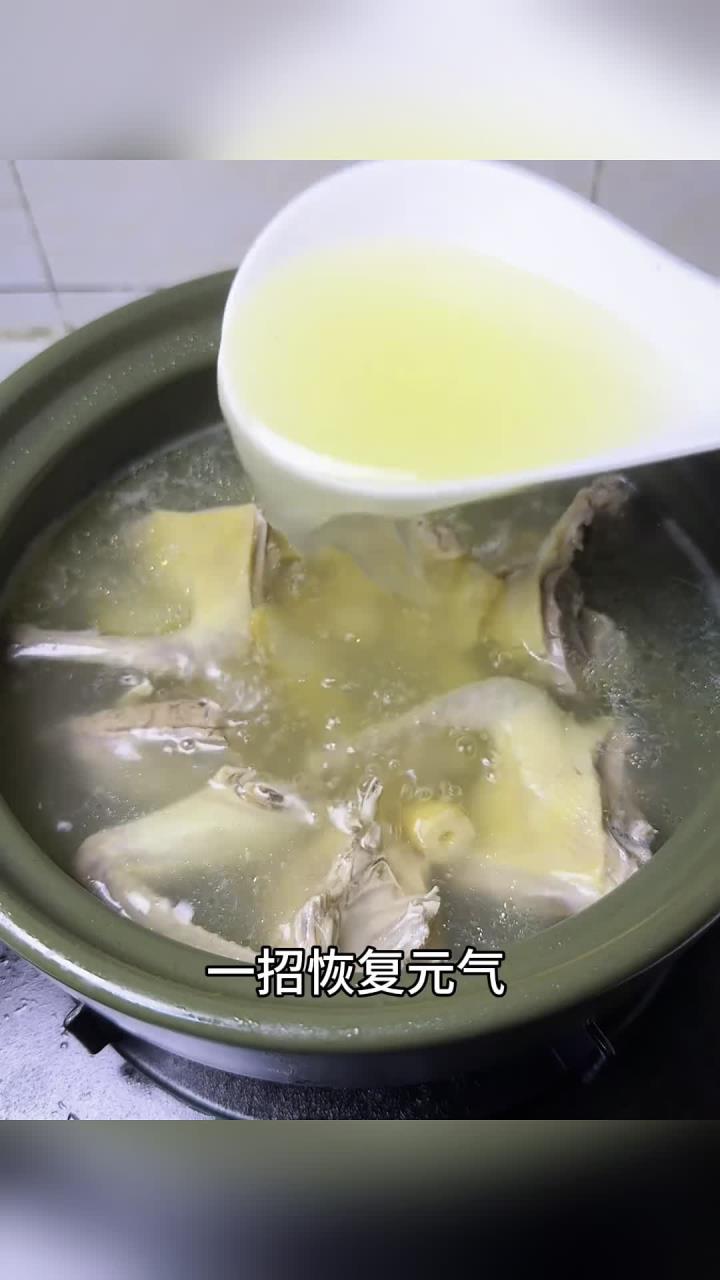 鸽子汤煲汤广东靓汤滋补养生