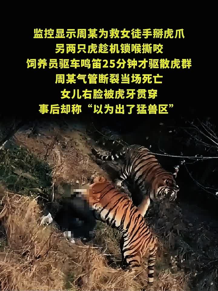 2016 年八达岭老虎袭人!争吵下车致母亡,女儿索赔 218 万引争议