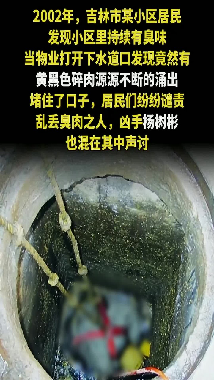 “哈尔滨绞肉机”把十名陪酒女绞碎成肉末，将人肉倒进下水道