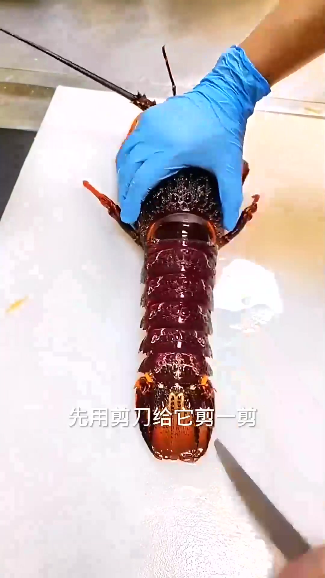 处理大龙虾方法
