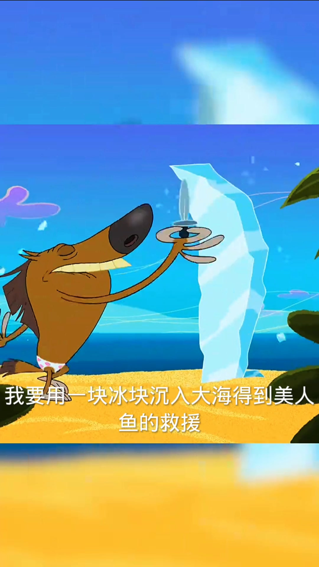 这小鲨鱼,真可爱啊