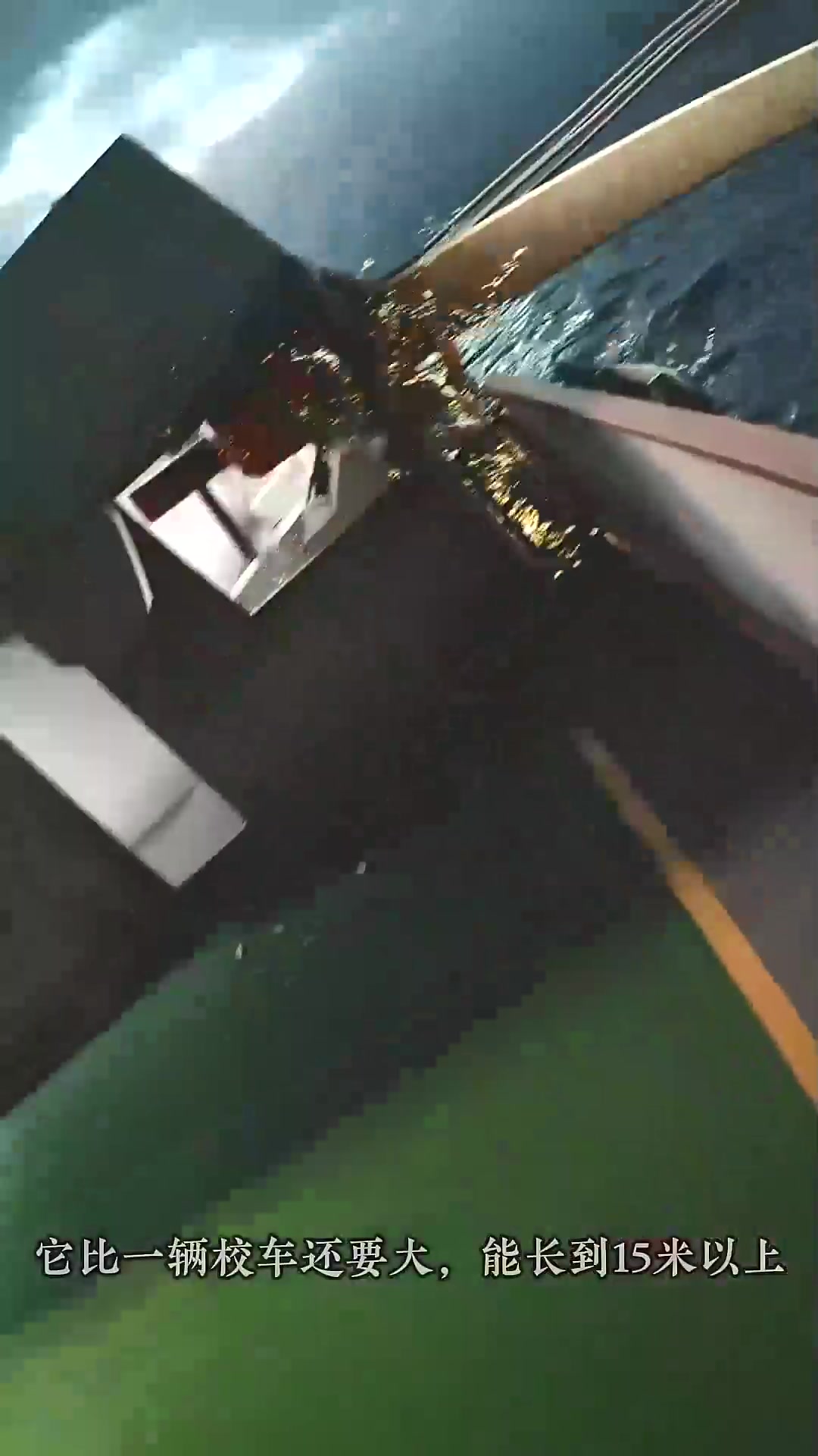  大王酸浆鱿,世界上最大的鱿鱼