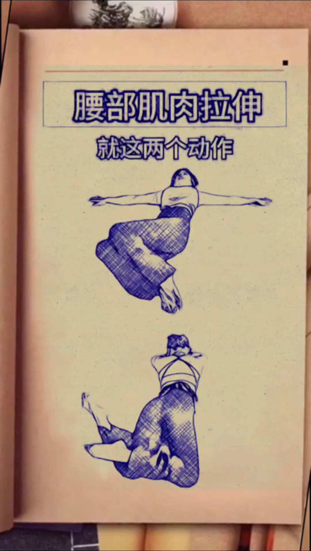 一起来锻炼,腰部肌肉拉伸