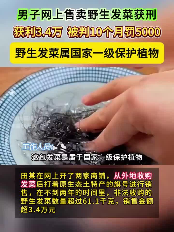 男子在网上售卖野生发菜而获刑。野生发菜属国家一级保护植物