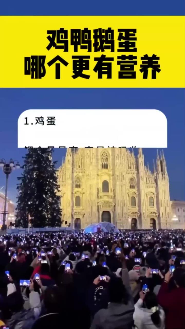 鸡鸭鹅蛋哪个更有营养 (1)