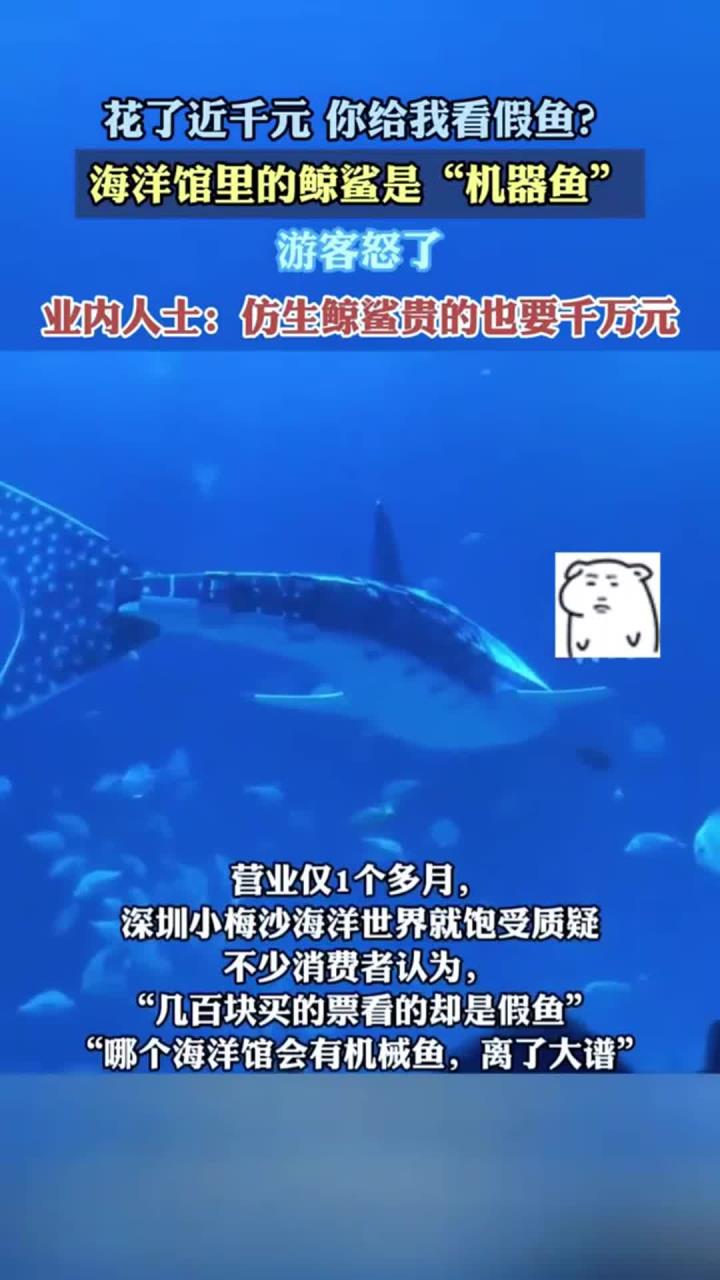 花了近千元，你给我看假鱼？海洋馆里的鲸鲨是机器鱼，游客怒了