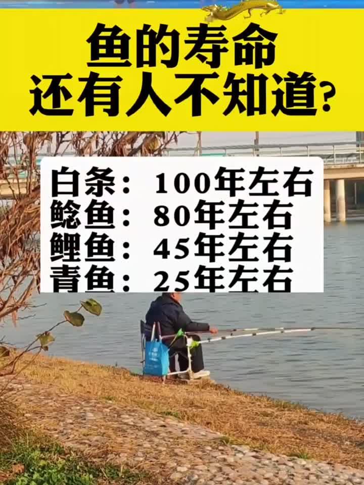常见鱼类的寿命