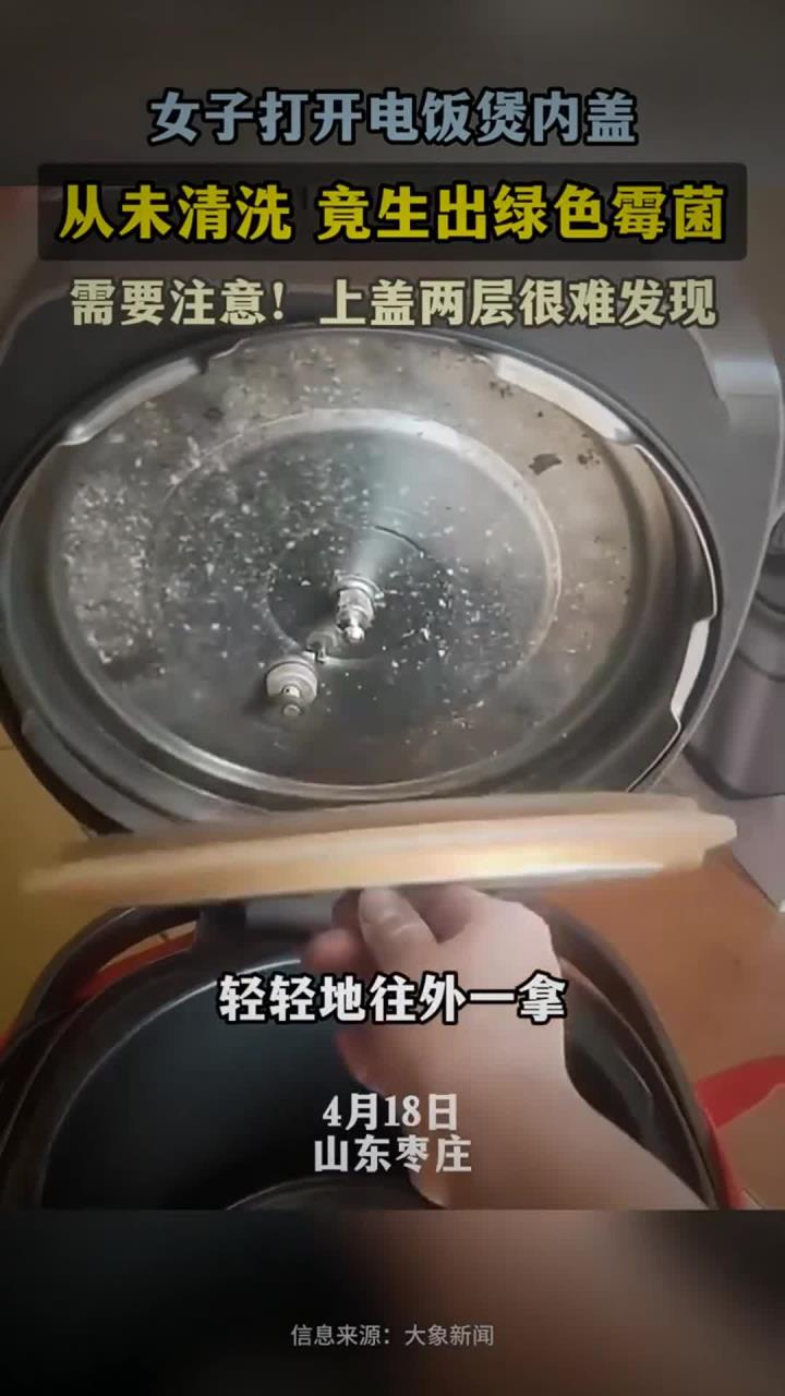 女子打开电饭煲内盖,从未清洗,竟生出绿色霉菌