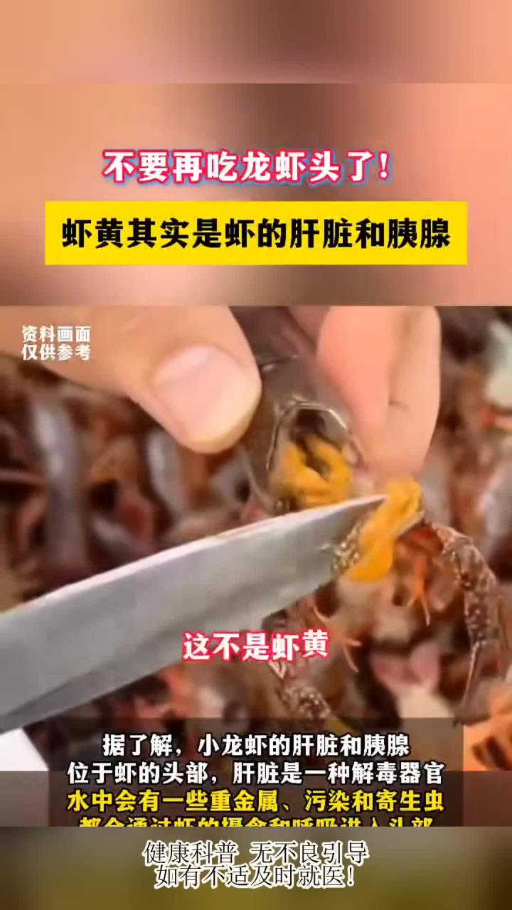 不要再吃龙虾头了!虾黄其实是虾的肝脏和胰腺