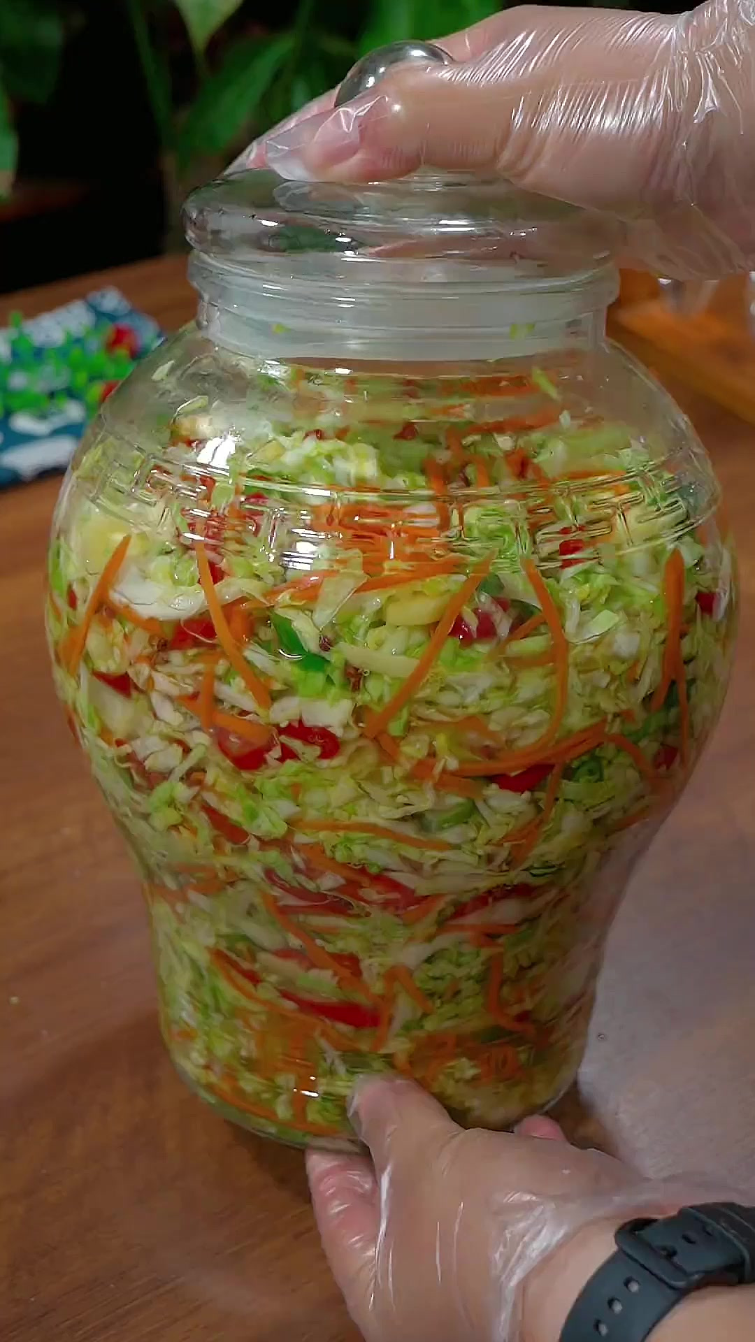 又到了腌制泡菜的季节，三天就可以吃，做法简单，一看就会