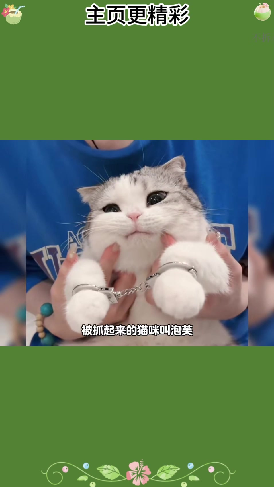 谁能拒绝一只香香软软，可爱到冒泡的小猫咪呢宠物治愈每一天